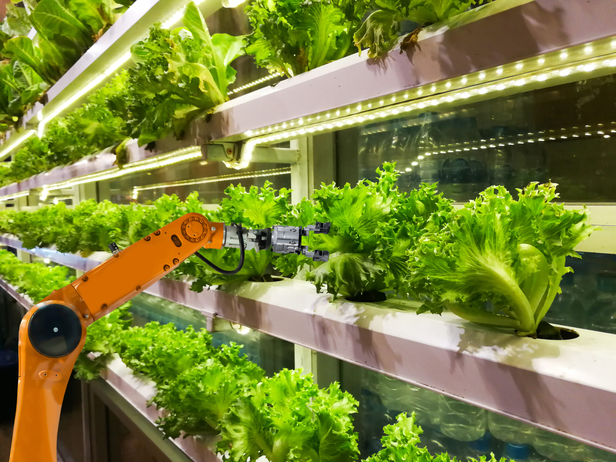 Smart robotic farmers in agriculture futuristic robot automation